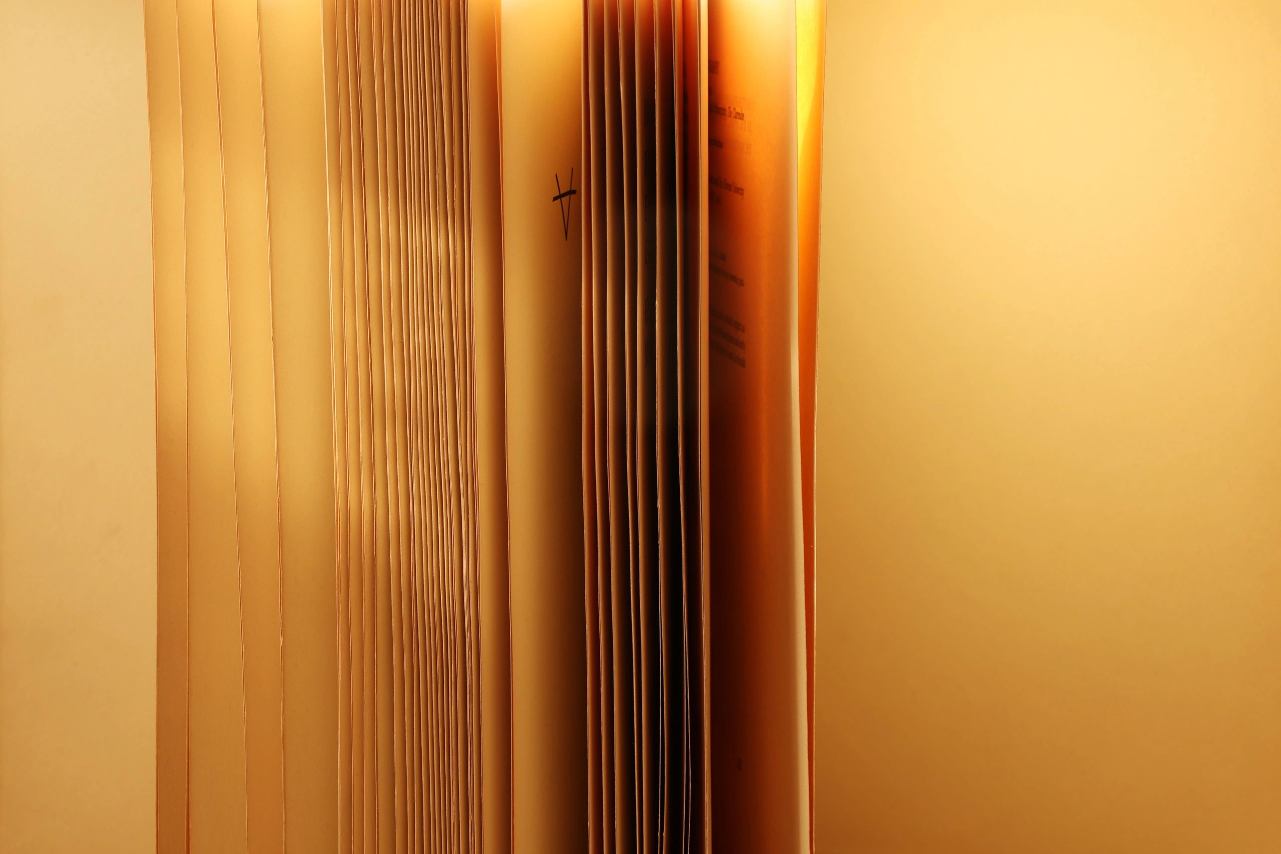 Open vintage book with fanned pages