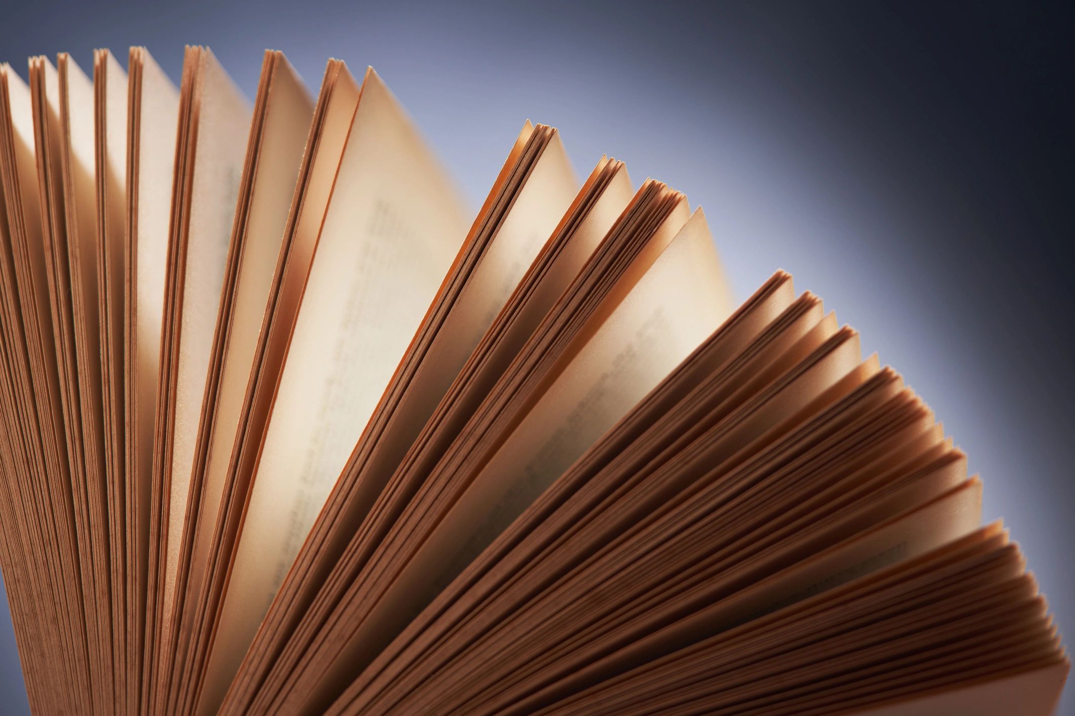 Open book with pages softly lit