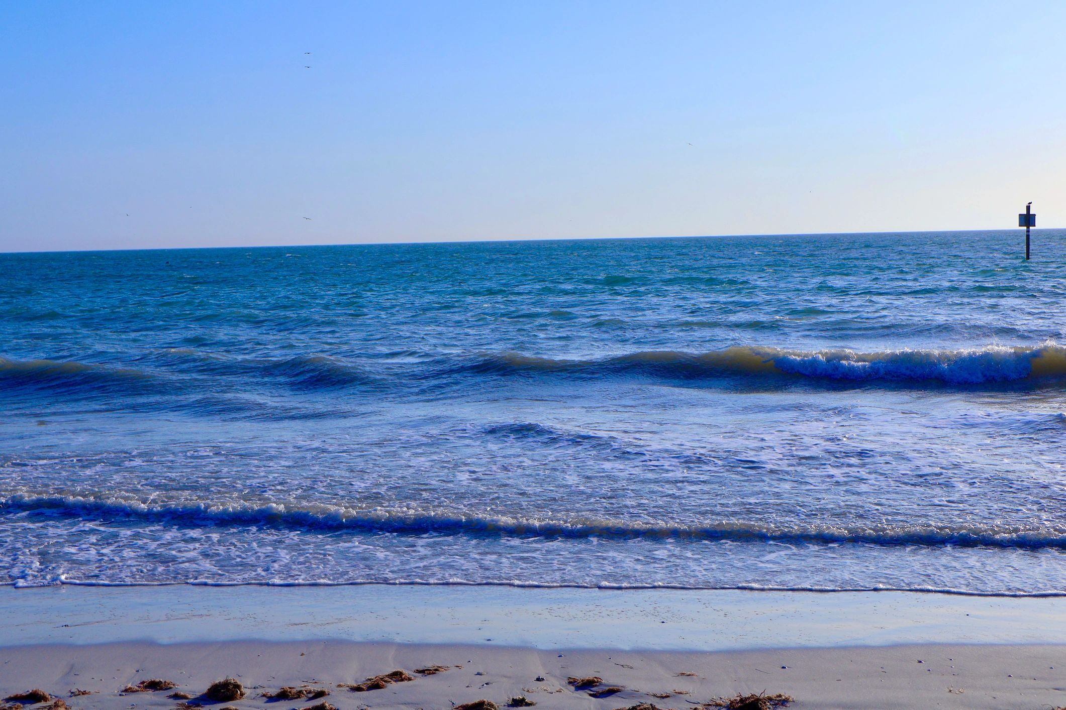 Tranquil beach with gentle waves and open horizon under clear sky