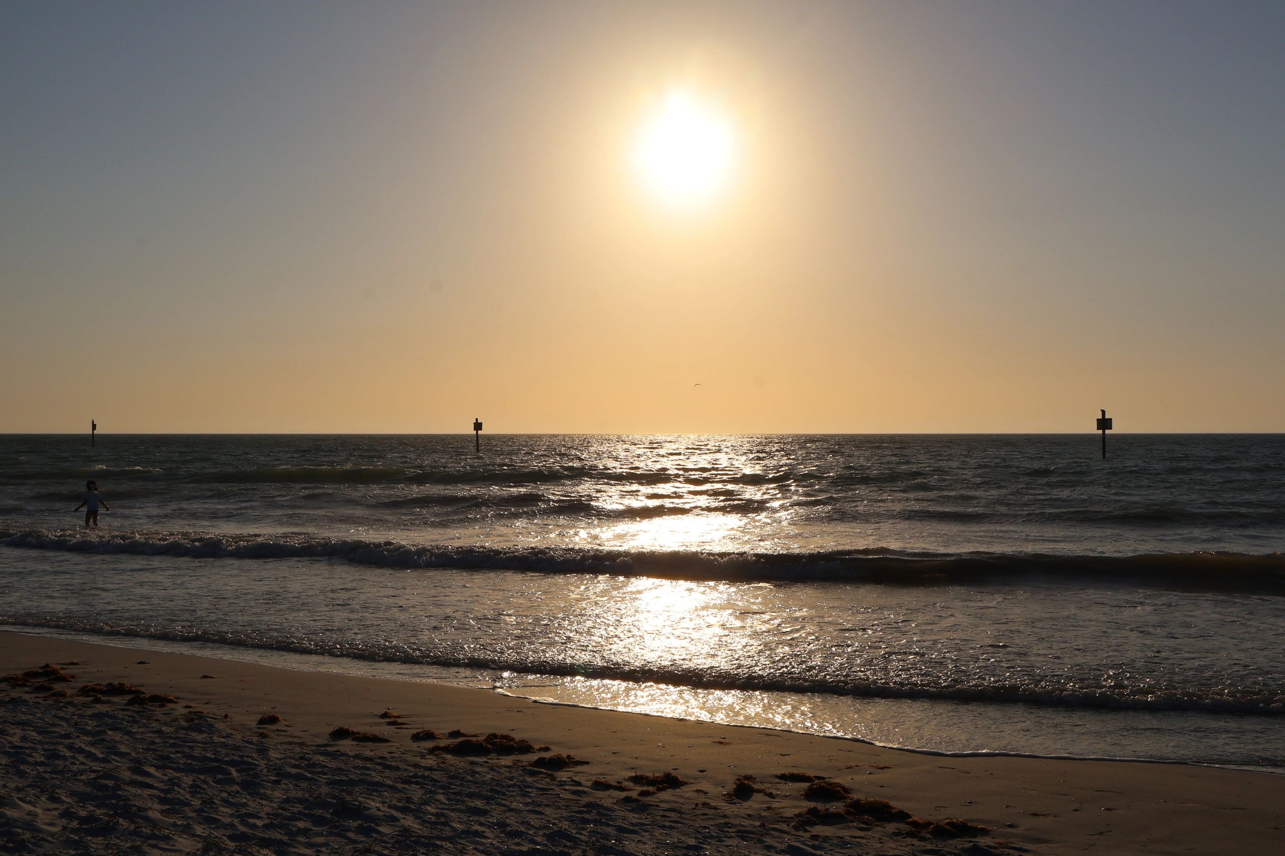 Gentle waves rolling onto a sandy Florida shoreline in warm late-day light